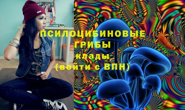 прущая мука Алексеевка