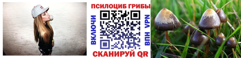 OMG вход  Райчихинск  Галлюциногенные грибы MAGIC MUSHROOMS 